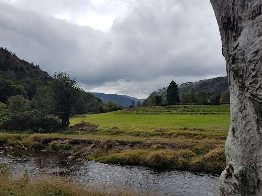 Wicklow