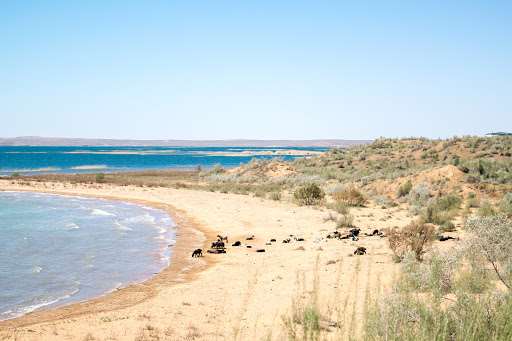 Aydarkul Lake