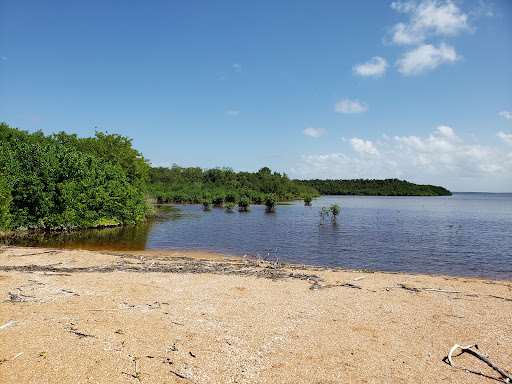 Shell Beach