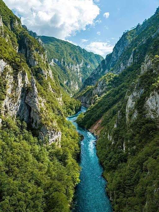 Tara River Canyon