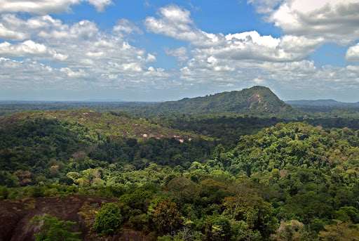 Central Suriname Nature Reserve