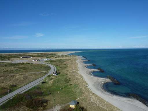 Grenen