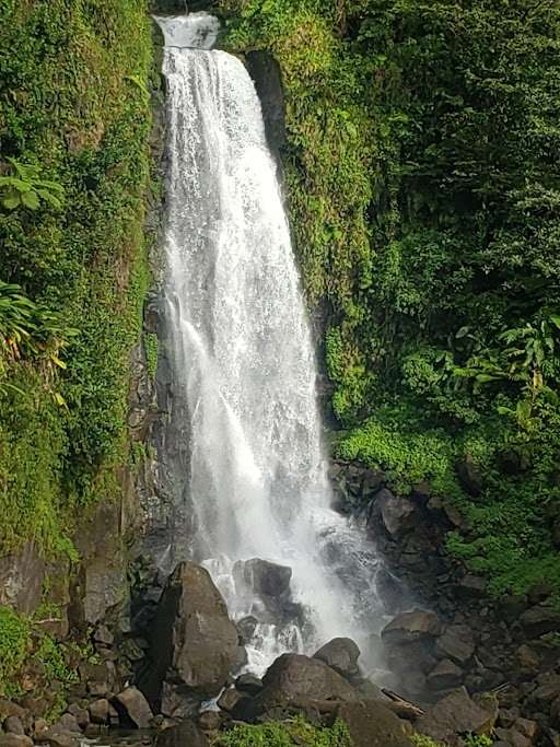 Trafalgar Falls