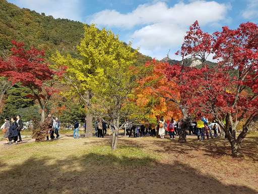 Seoraksan National Park