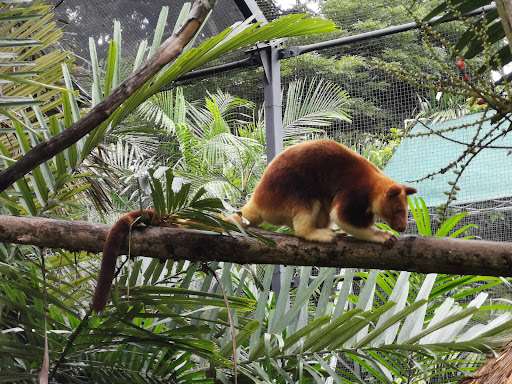 Port Moresby Nature Park