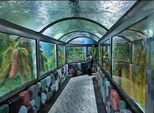 Cox's Bazar Marine Aquarium