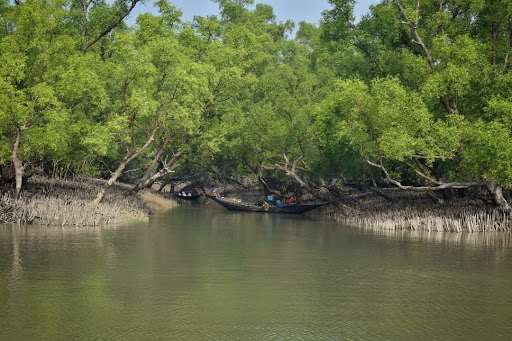 Sundarbans