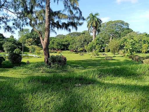 Queen's Park Savannah