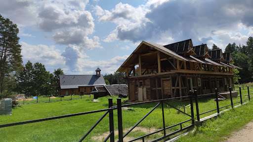 Bialowieza Forest