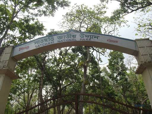 Satchari National Park