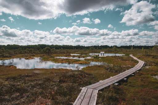 Soomaa National Park
