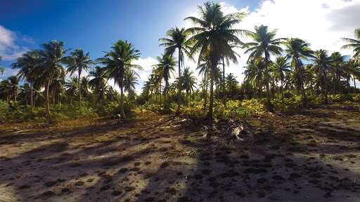 Bikini Atoll