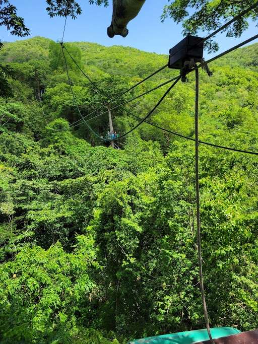 Antigua Rainforest Canopy Tour