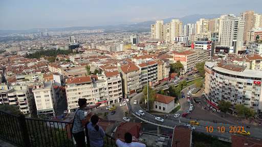 Bursa
