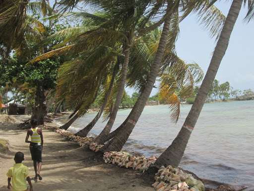 Île-à-Vache