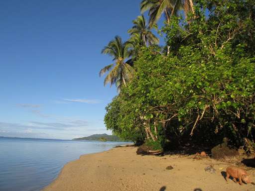 Makira Island
