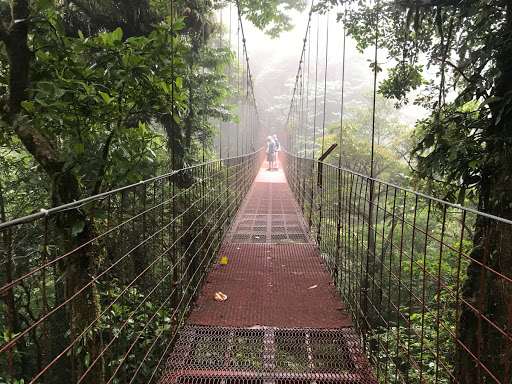 Monteverde Cloud Forest Reserve