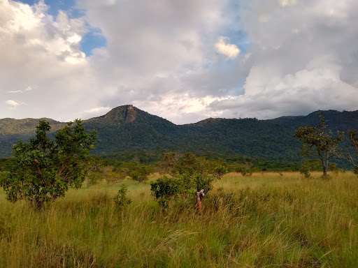 Kanuku Mountains