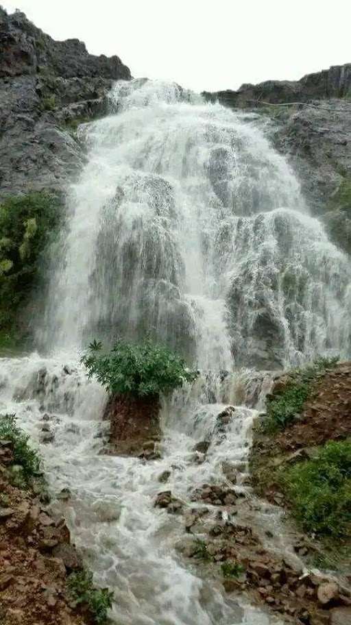 Dhala