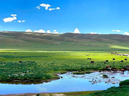 Khangai Mountains