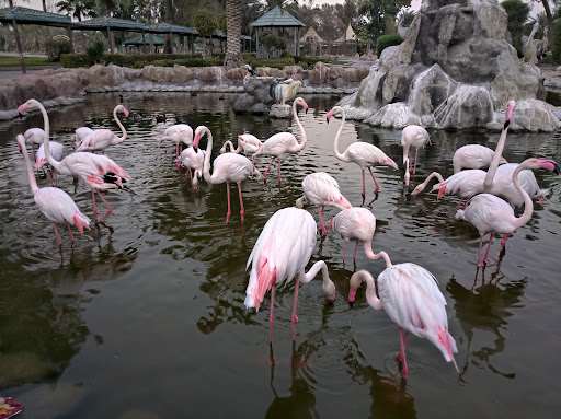 Al Areen Wildlife Park
