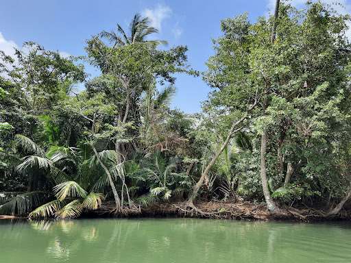 Indian River