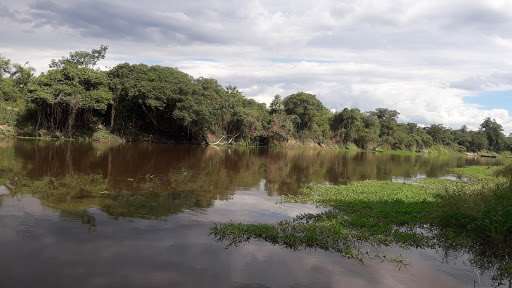 Pilcomayo River
