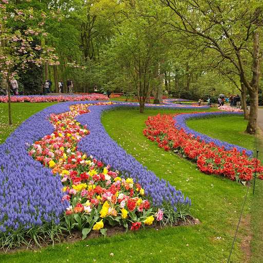 Keukenhof