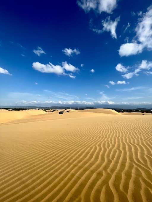 Médanos de Coro National Park