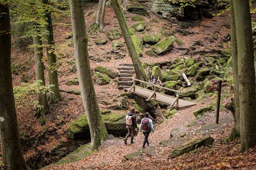 Mullerthal Trail