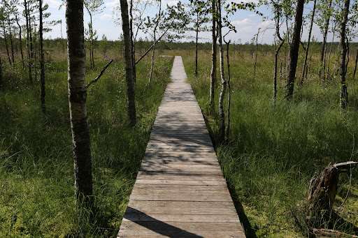Berezinsky Biosphere Reserve