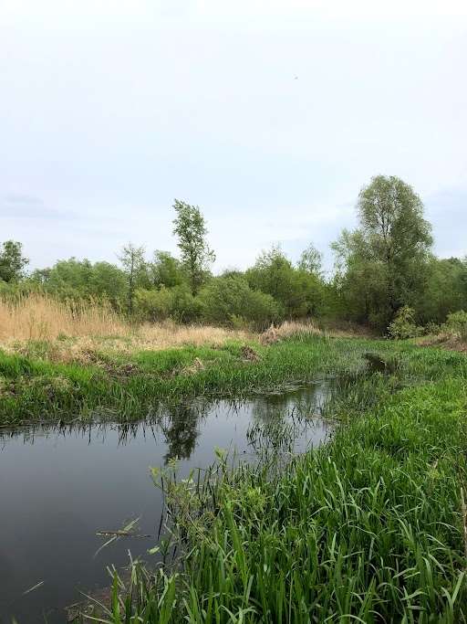 Pripyatsky National Park