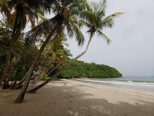 La Sagesse Beach