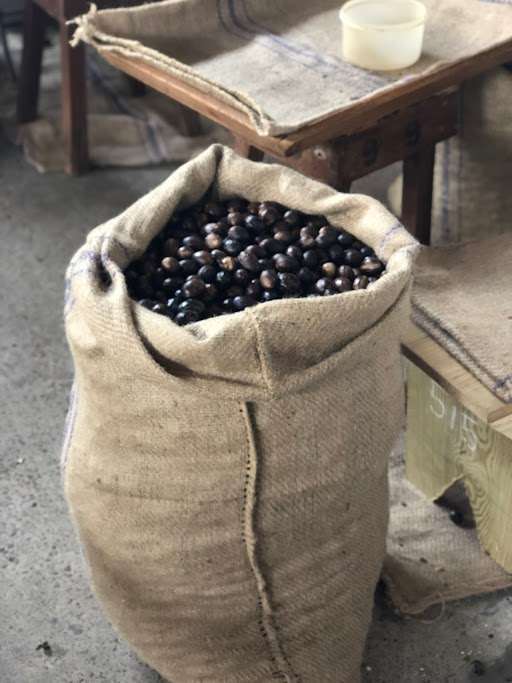 Gouyave Nutmeg Processing Station