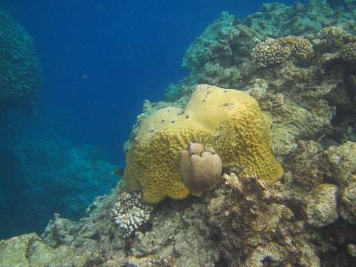Ulithi