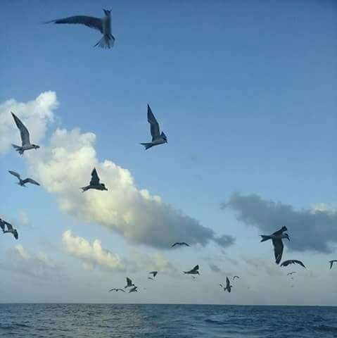 Mergui Archipelago