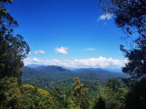 Taman Negara