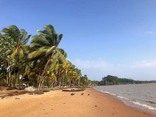 Galibi Nature Reserve