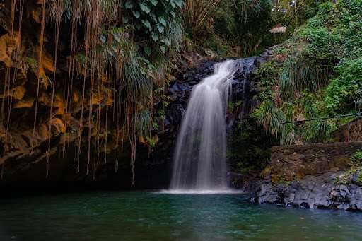 Annandale Falls