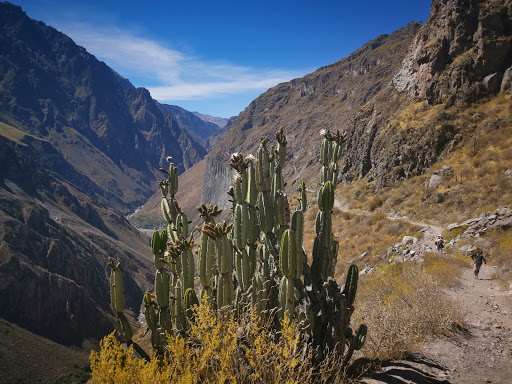 Colca Canyon