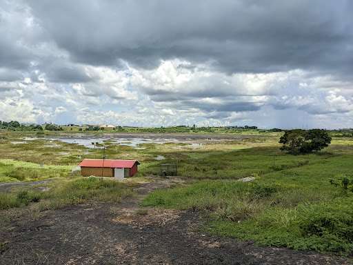 The Pitch Lake